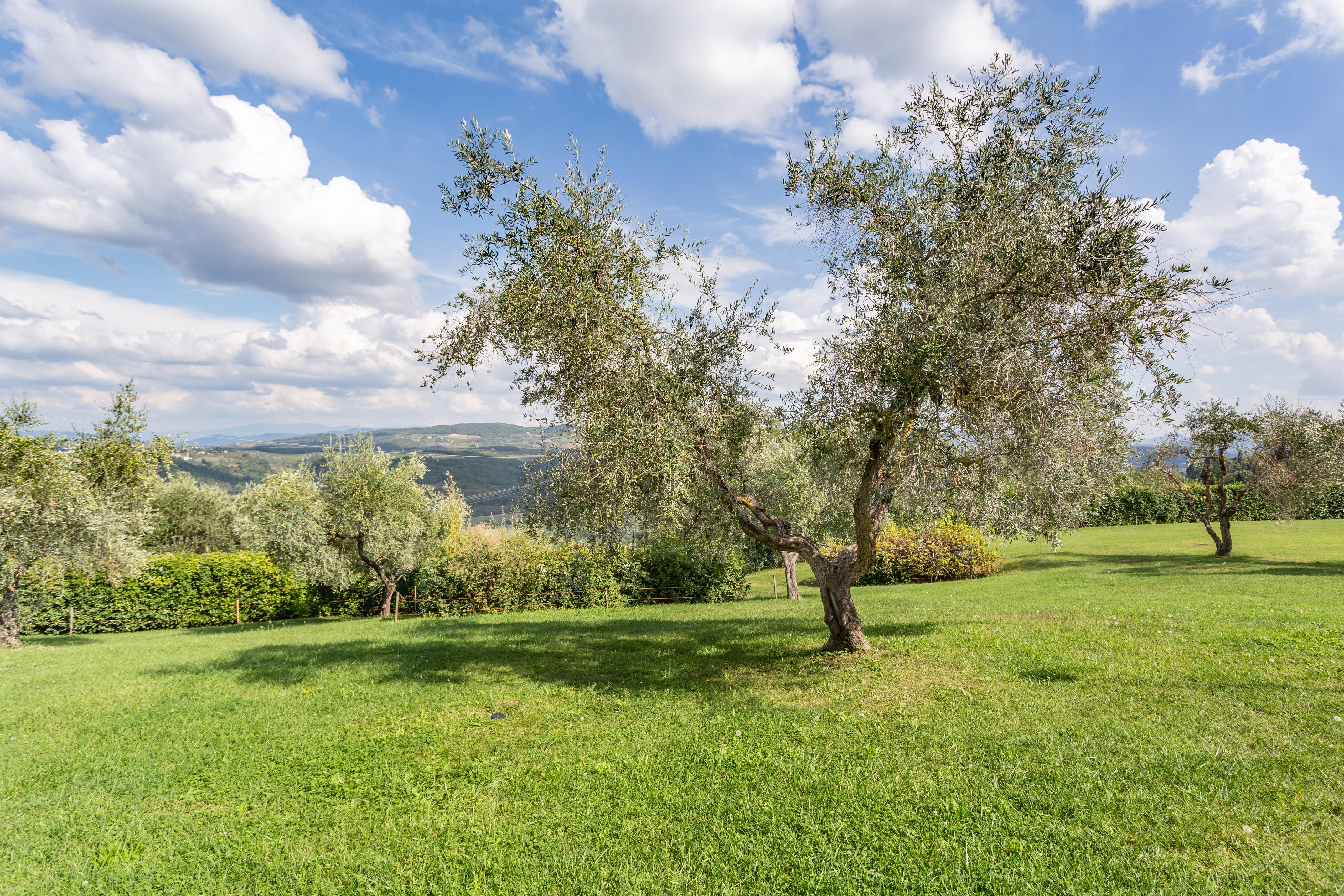 Fattoria Querceto Guest House Tavarnelle Val di Pesa Bagian luar foto